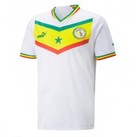 Senegal Fußballbekleidung Heimtrikot WM 2022 Kurzarm